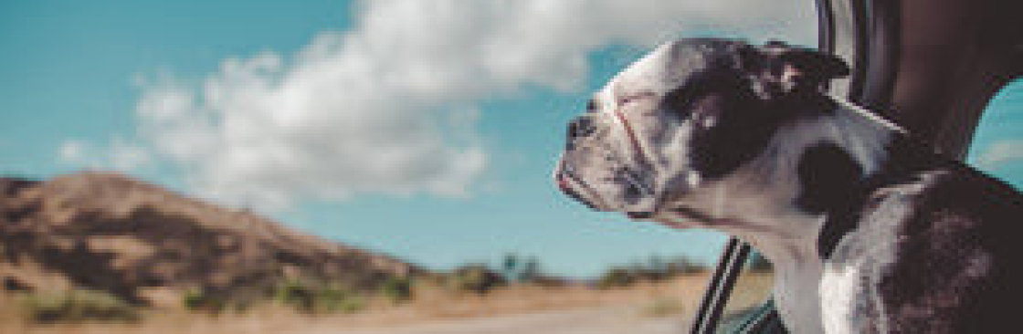 K9 Escapade Cover Image